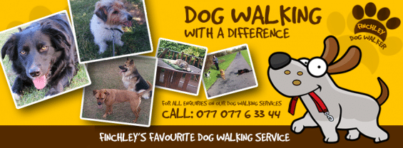 North Finchley Dog Walker