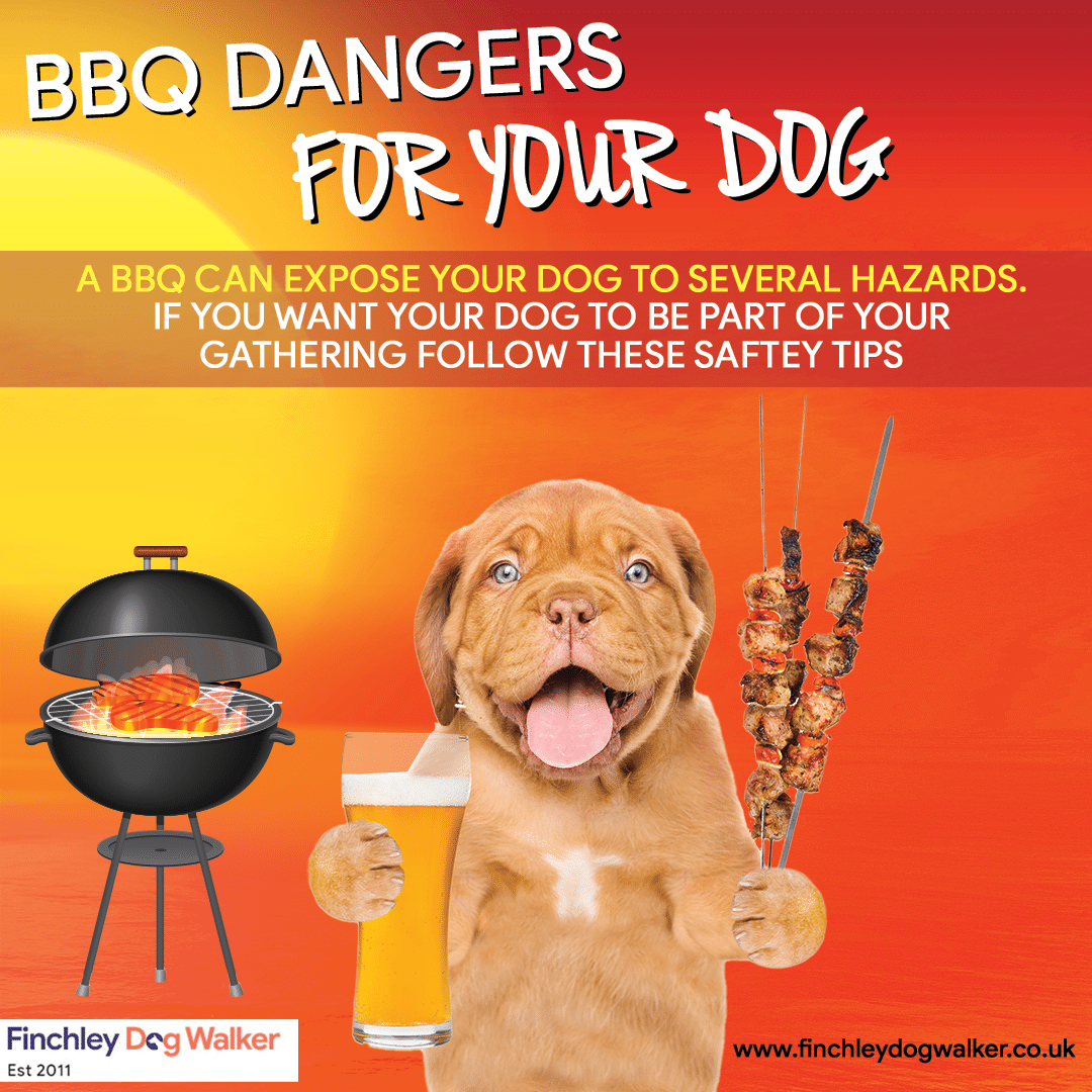 bbq-dangers-for-your-dog BBQ dangers for dogs