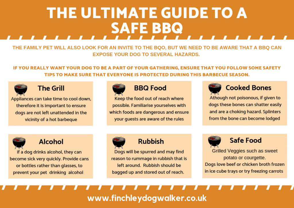 bbq-guide-for-dog-owners-1024x724 BBQ dangers for dogs