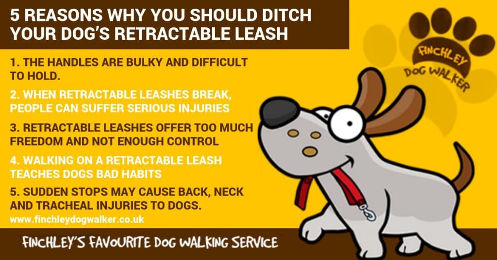 retractable-lead-finchley-dog-walker-1024x536 Retractable Dog Leads – Good or Bad?