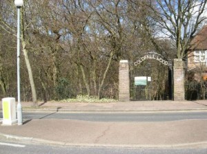 Coldfall wood,s, London N10