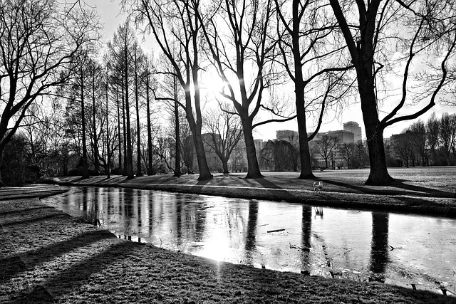 park-3220815_640 Dogs and Frozen Ponds