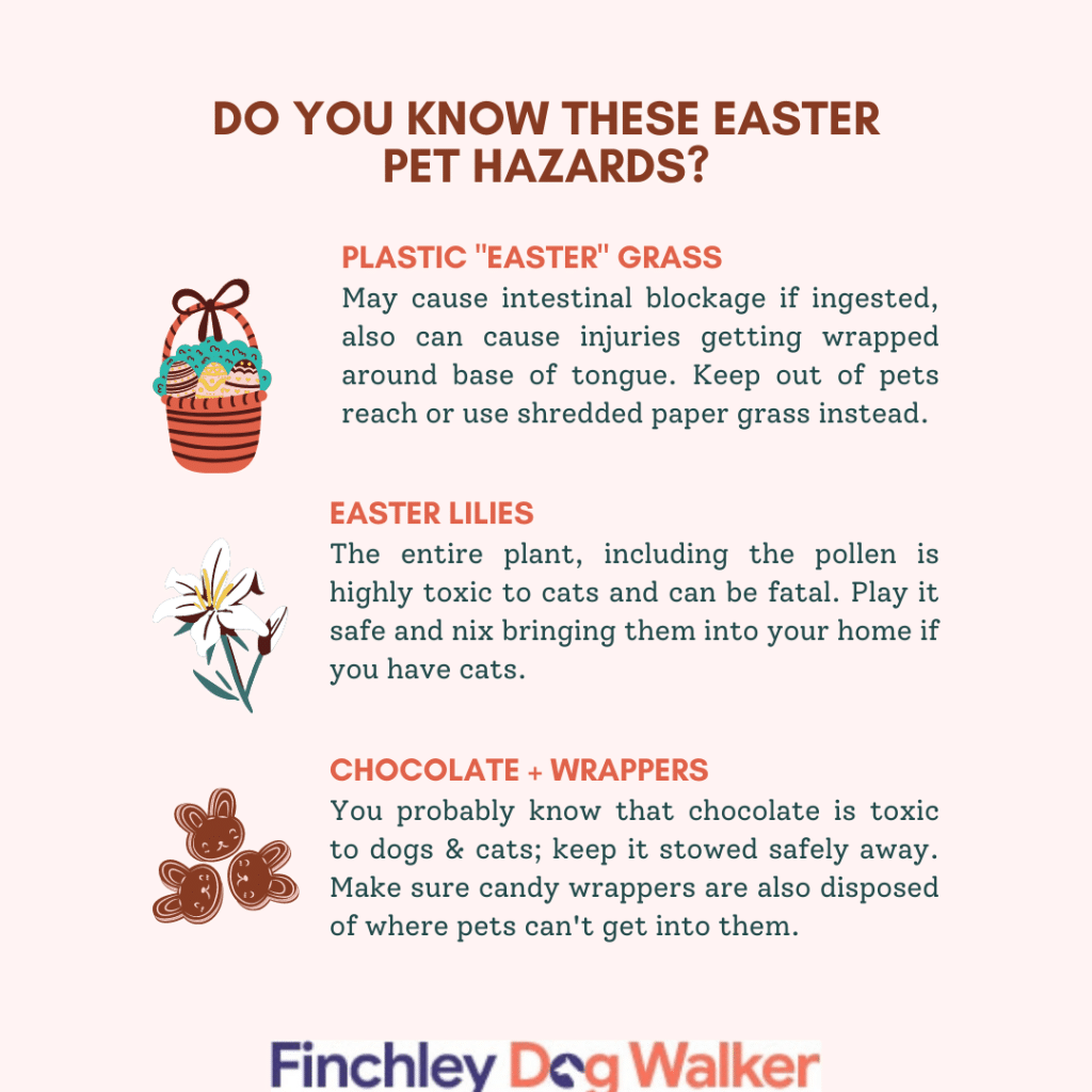 Copy-of-Do-You-Know-These-Easter-Pet-Hazards--1024x1024 Easter