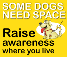 Yellow-Dog1 Yellow Dog Awareness