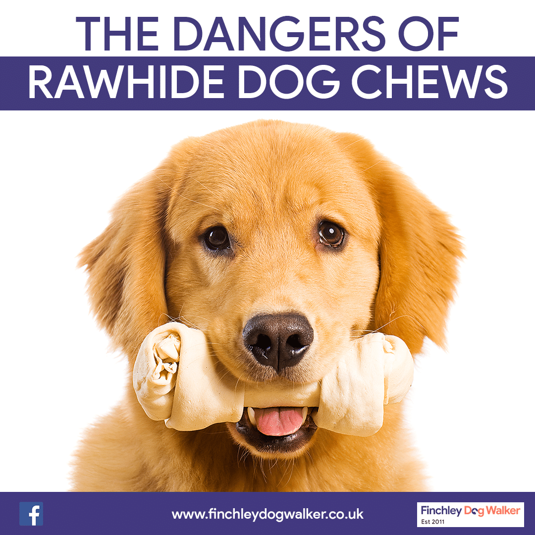 how do i know if my pungsan dog has a rawhide blockage