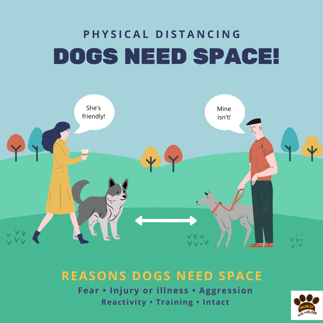 Copy-of-Dogs-need-space Dog walking etiquette for dog owners