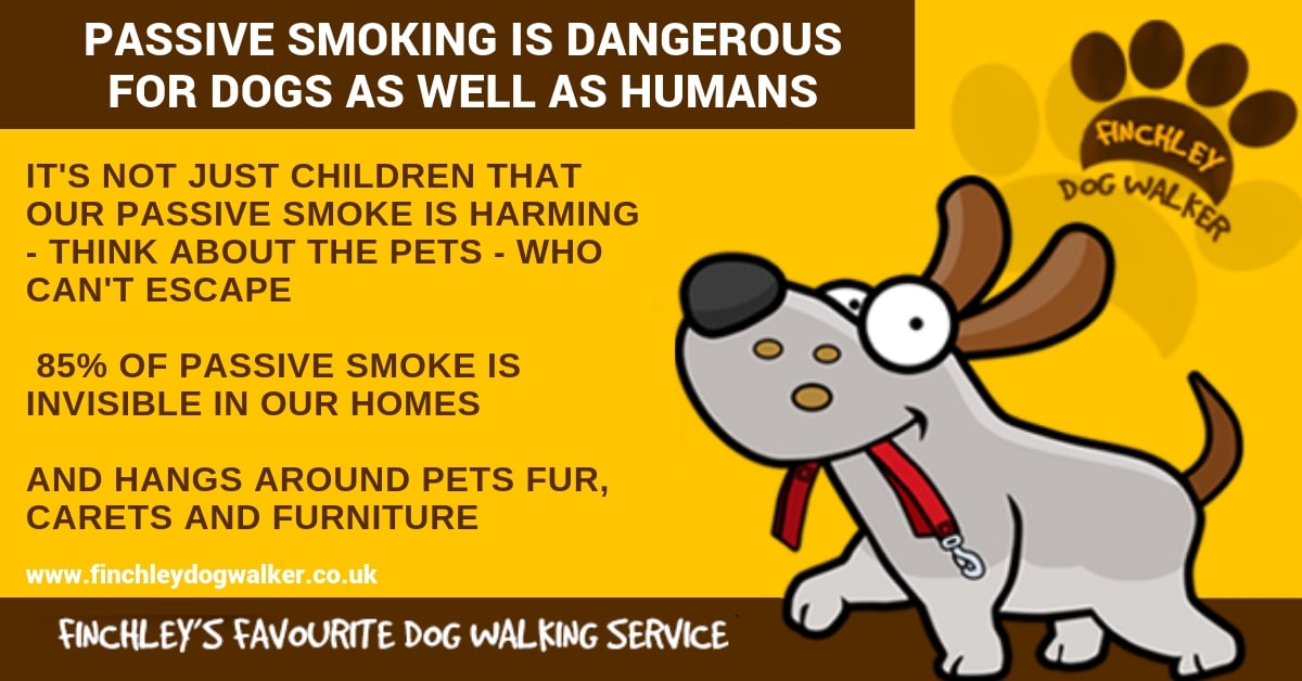 Passive Smoking Dogs Finchley Dog Walker Passive Smoking Dogs Finchley Dog Walker