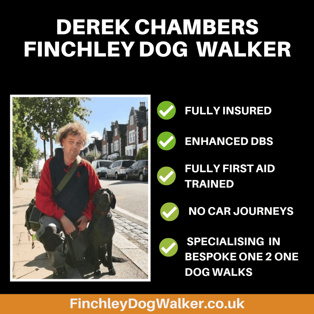 derek-chambers-finchley-dog-walker-1-1-1024x1024 A quick insight to life as a dog walker