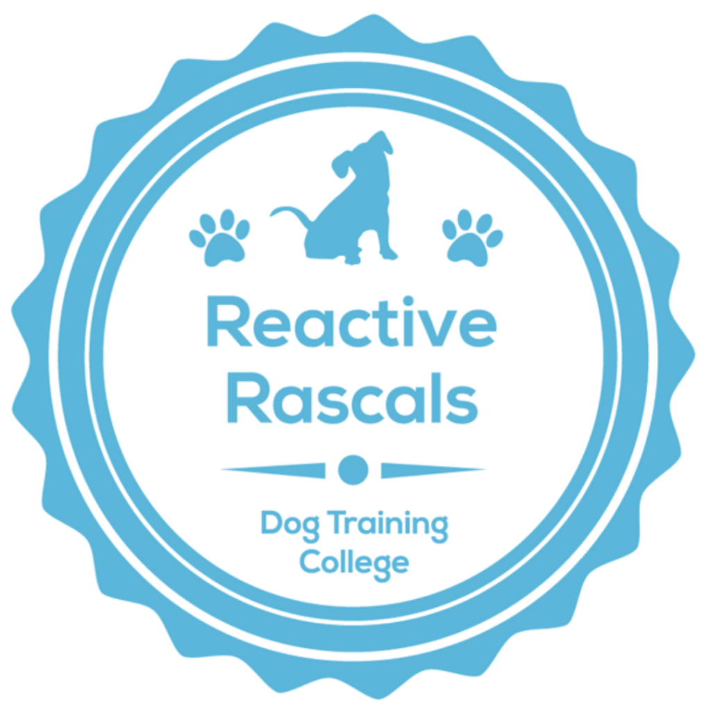 reactive dogs course by the Dog Training Colleg