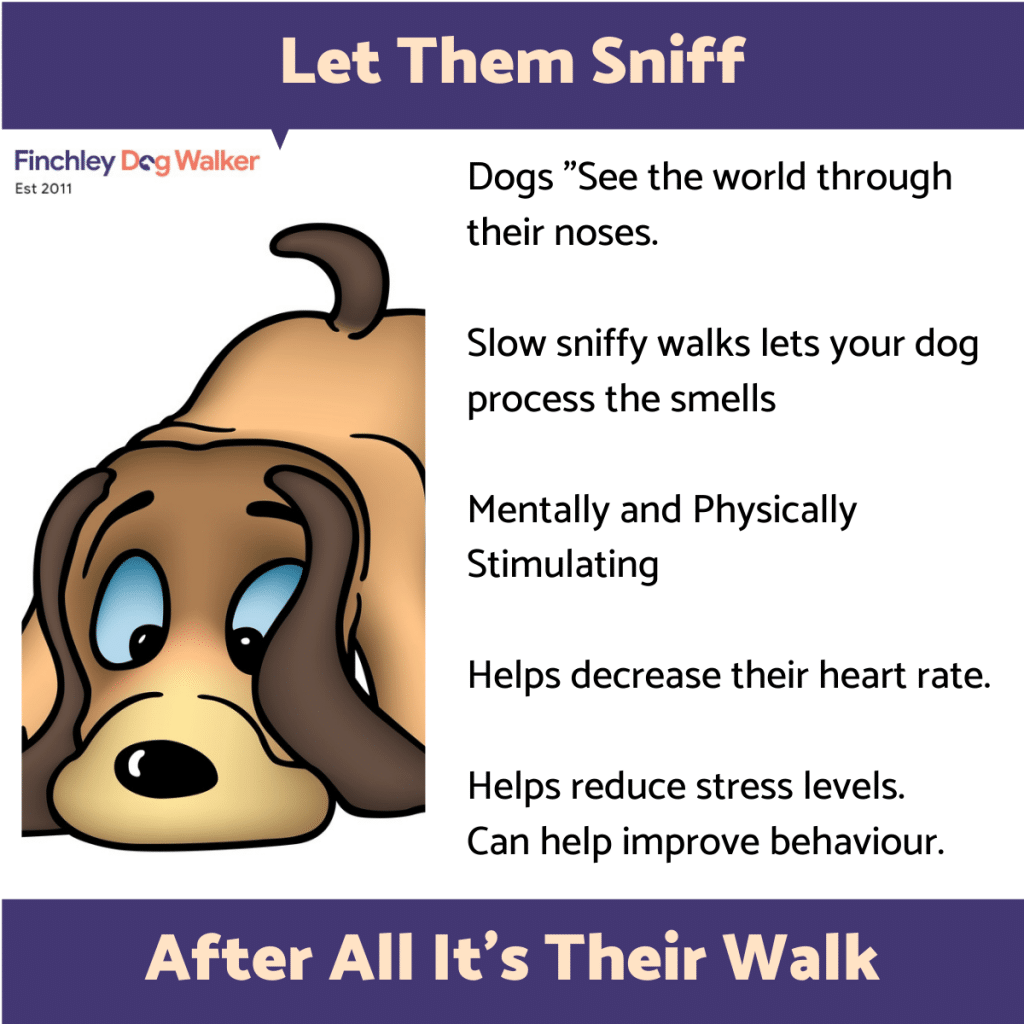 let-them-sniff-1024x1024 How to make your walks more fun, stress-free and stimulating for your dog