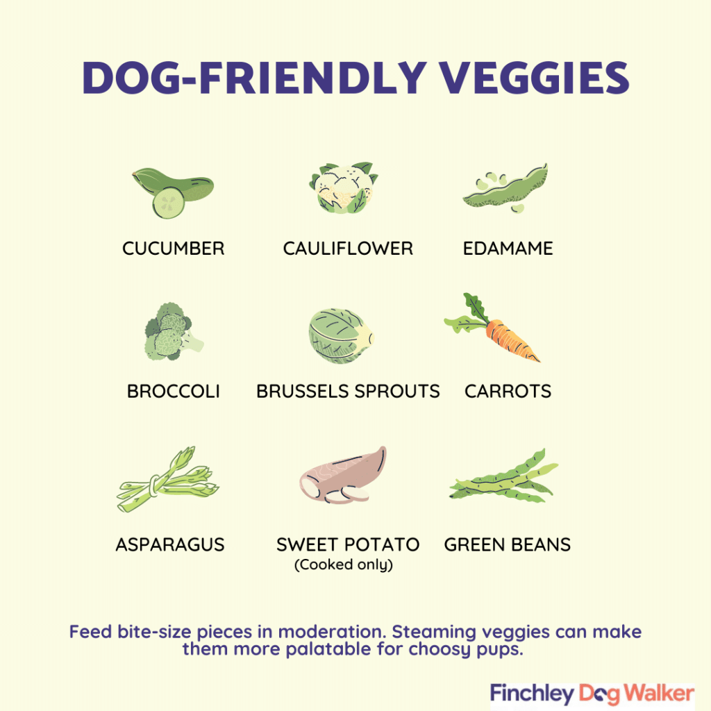 Dog-friendly-veggies-finchley-dog-walker-1024x1024 Human food  good for dogs