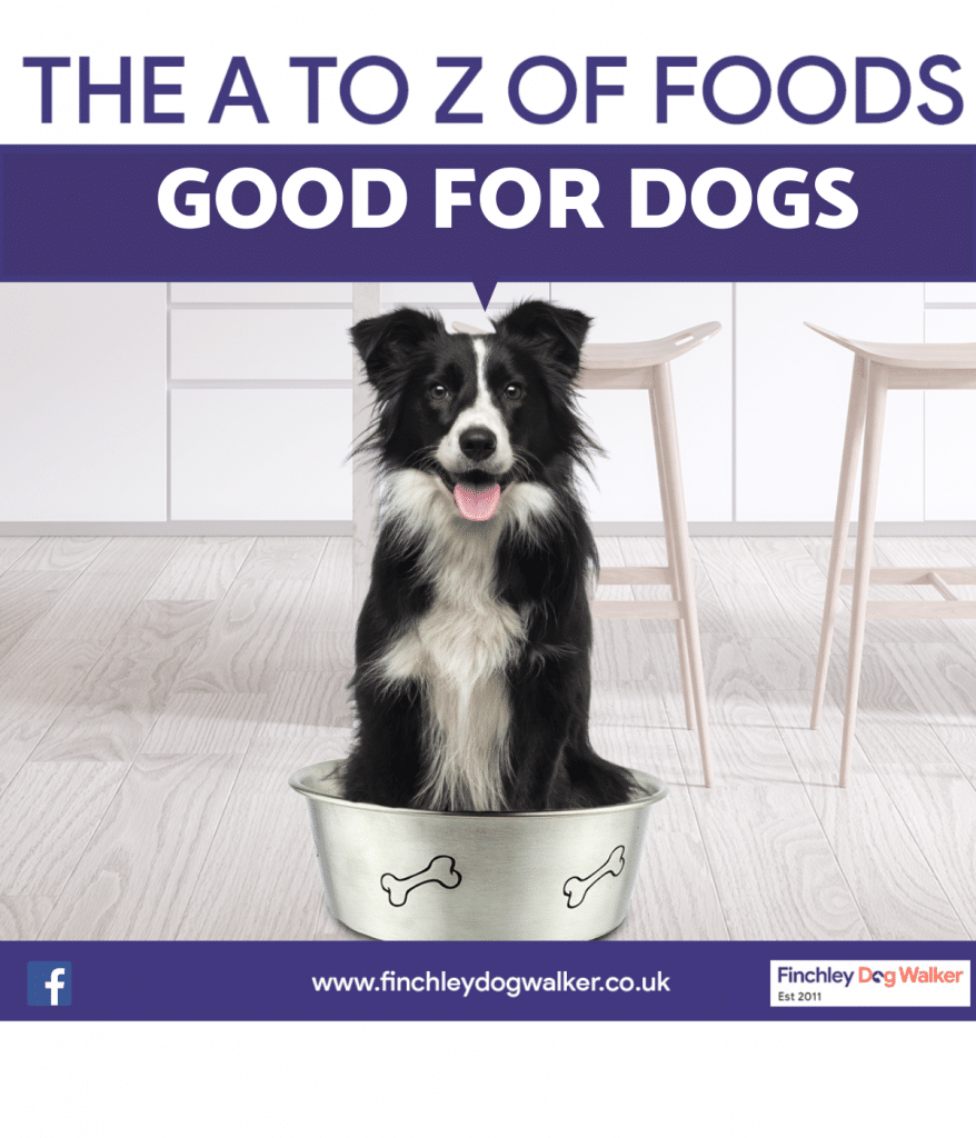 Human-food-good-for-dogs-878x1024 Human food  good for dogs