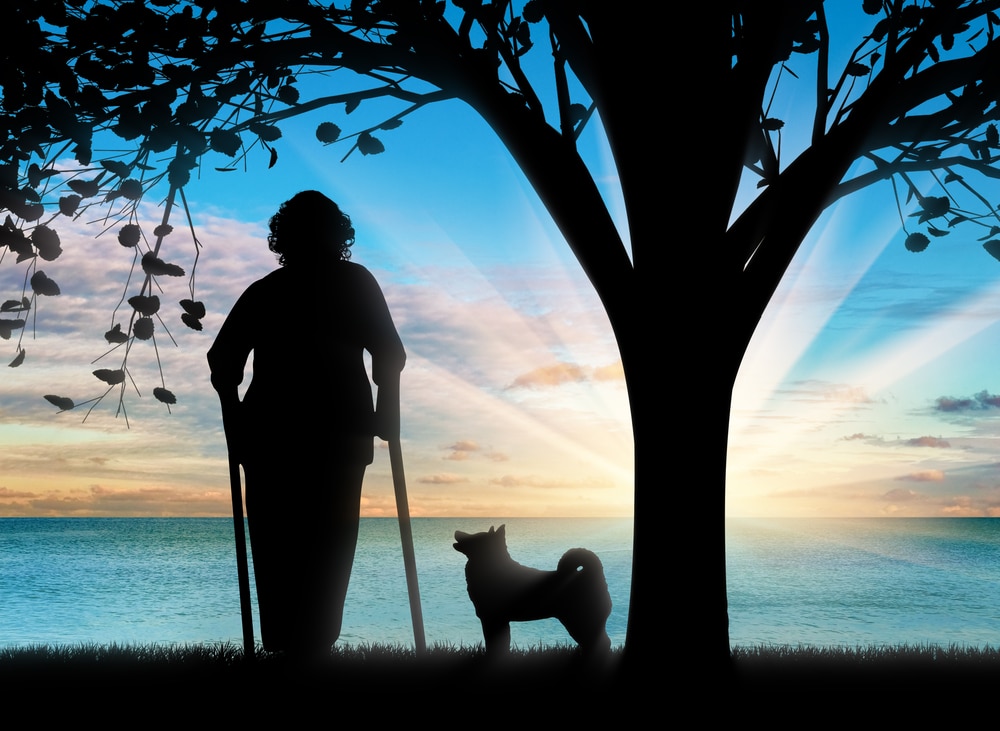 dog-walking-and-crutches 7 Reasons to Hire A Dog Walker
