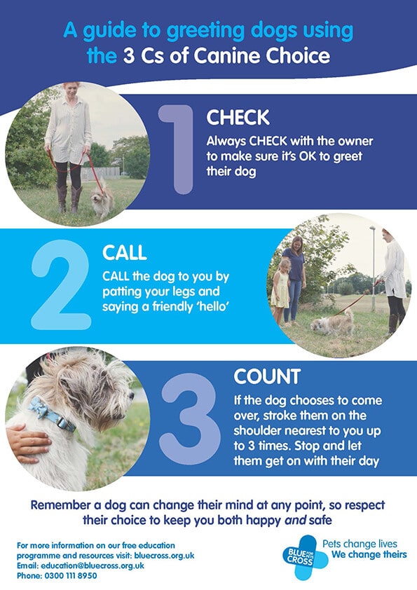 3Cs_dog_safety_poster_for_printer2 Greeting a dog