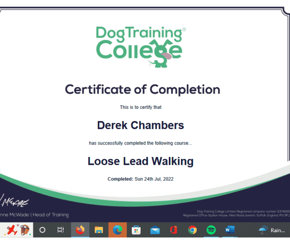 loose-lead-walking Loose Lead Walking Dog Training