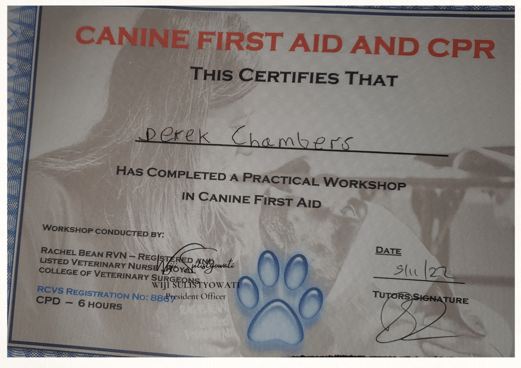 first aid certificate with Rachel Bean