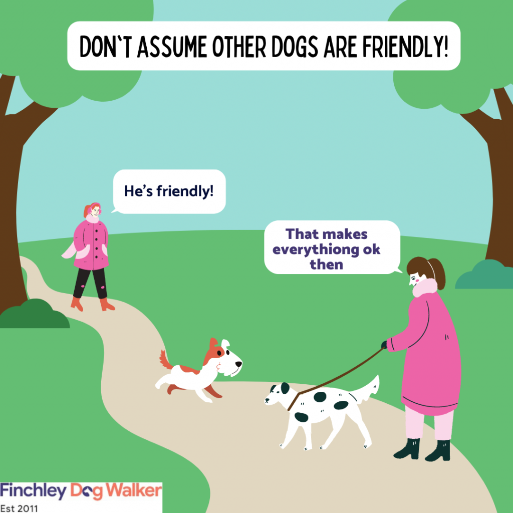 my-dog-is-friendly-its-ok-1024x1024 It's okay, my dog is friendly?