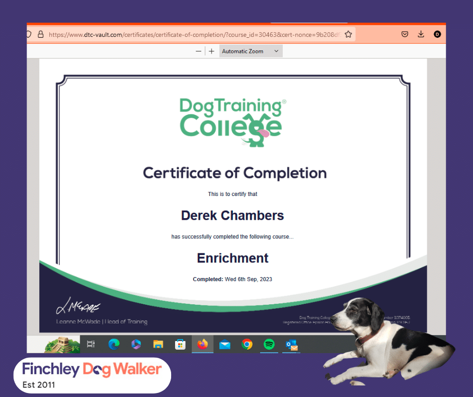dog training college enrichment
