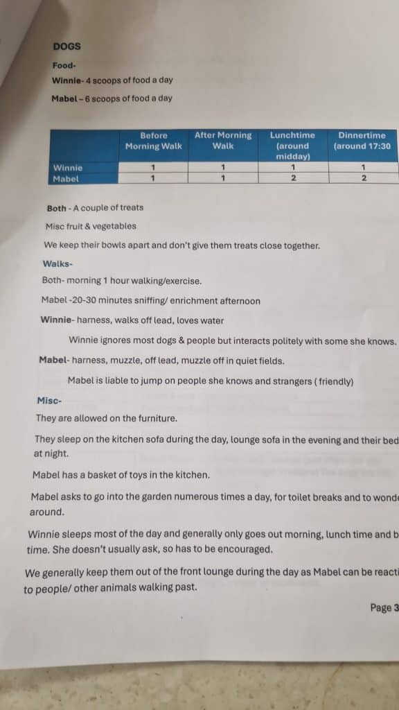 routine whilst dog sitting